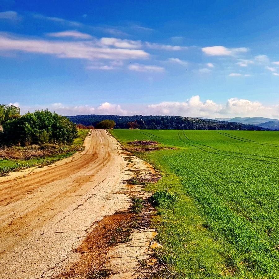 Kibbutz Nachshon Bed & Breakfast エクステリア 写真