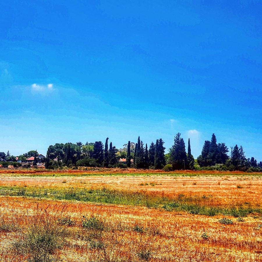 Kibbutz Nachshon Bed & Breakfast エクステリア 写真