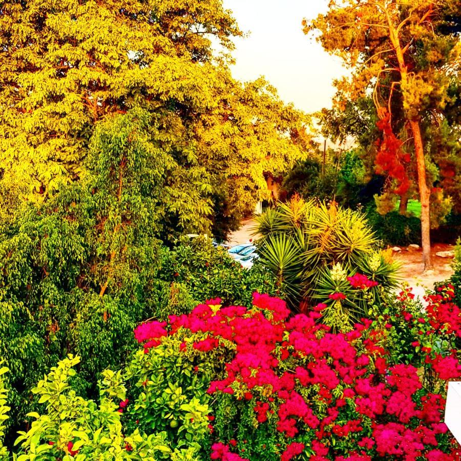 Kibbutz Nachshon Bed & Breakfast エクステリア 写真