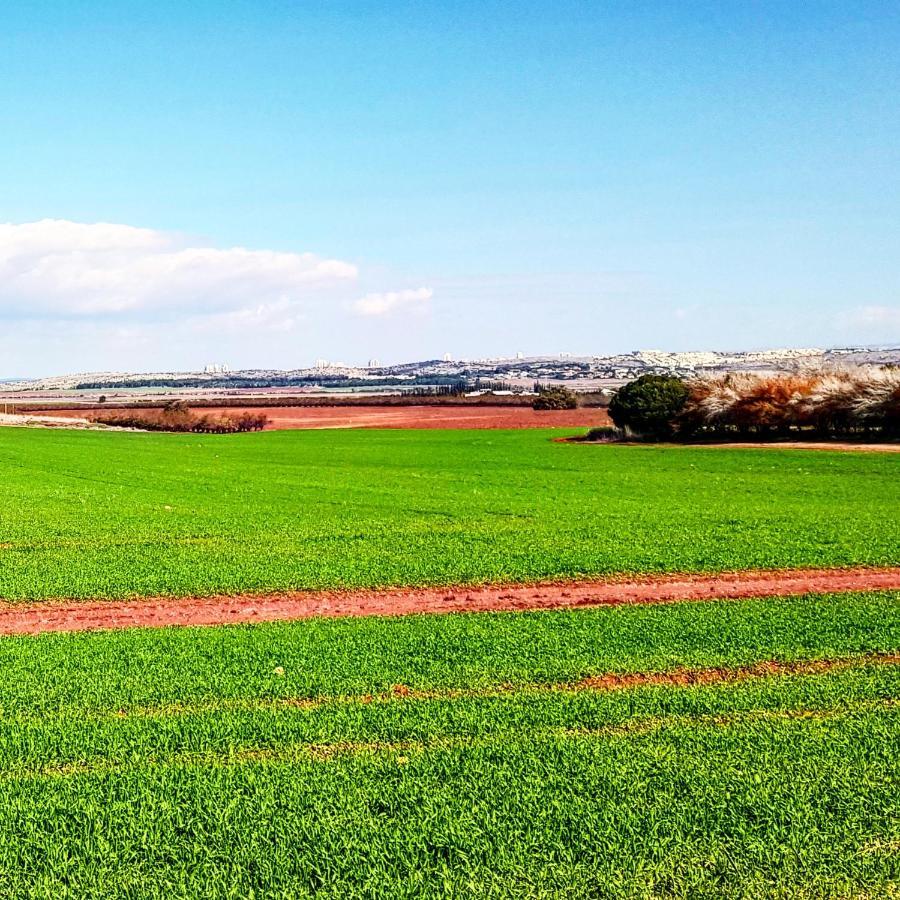 Kibbutz Nachshon Bed & Breakfast エクステリア 写真