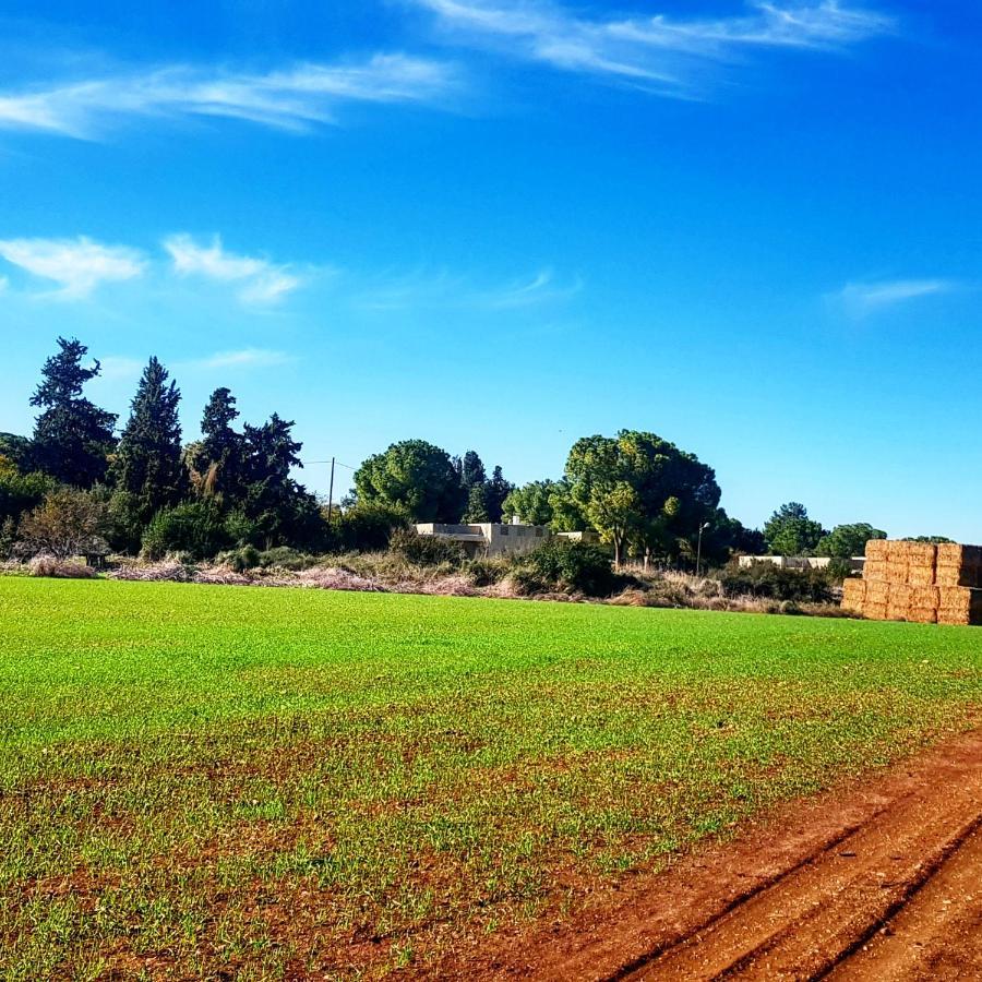 Kibbutz Nachshon Bed & Breakfast エクステリア 写真