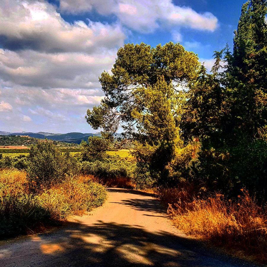 Kibbutz Nachshon Bed & Breakfast エクステリア 写真