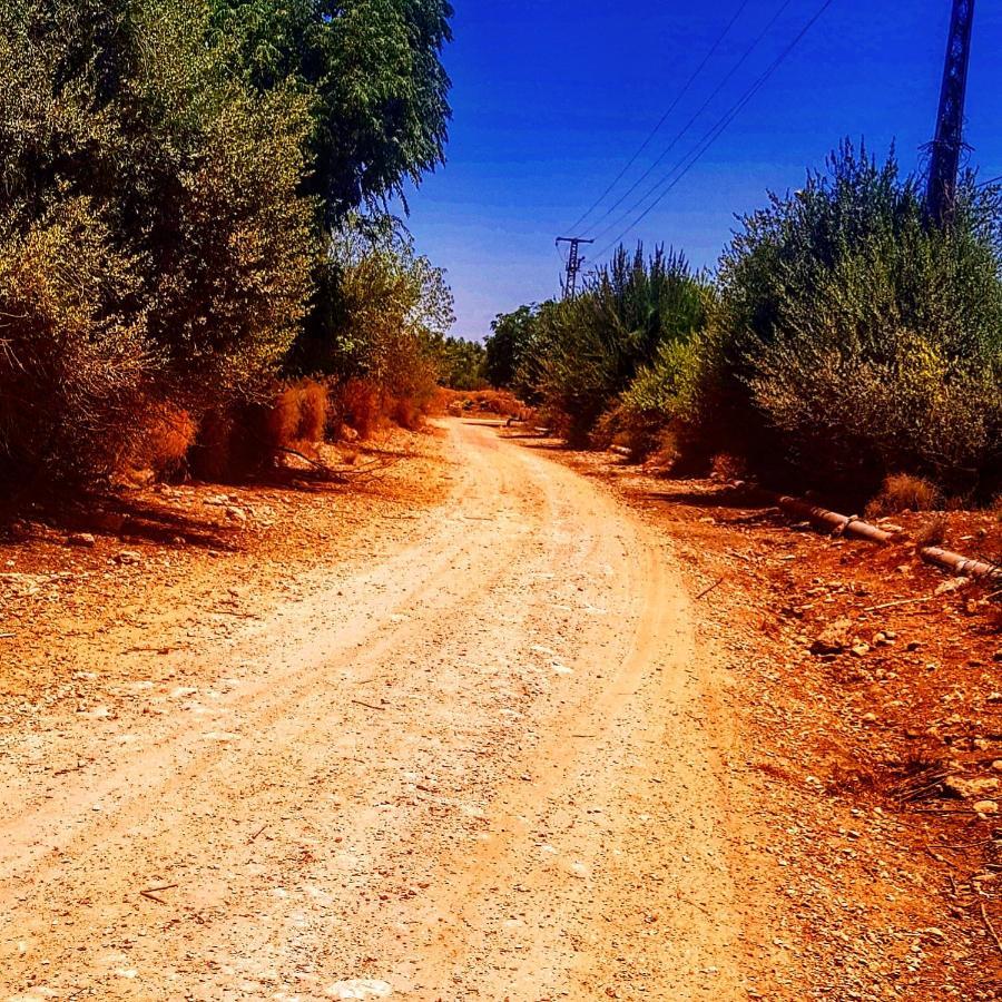 Kibbutz Nachshon Bed & Breakfast エクステリア 写真