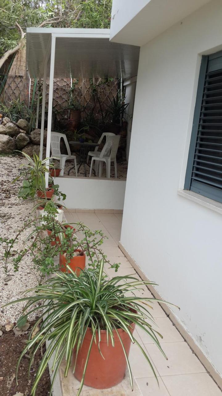 Kibbutz Nachshon Bed & Breakfast エクステリア 写真