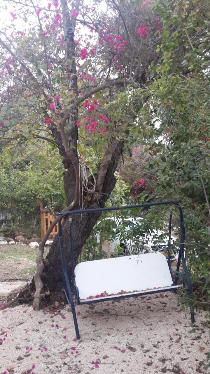 Kibbutz Nachshon Bed & Breakfast エクステリア 写真